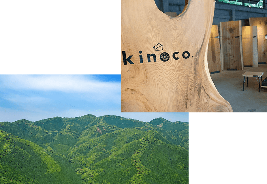 kinoco.